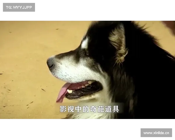 历史剧中那些令人捧腹的奇葩道具盘点让你忍俊不禁的瞬间 历史剧中那些令人捧腹的奇葩道具盘点让你忍俊不禁的瞬间